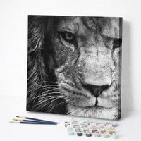 Black and White Lion Gaze