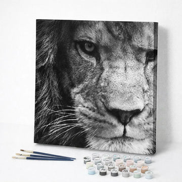 Black and White Lion Gaze