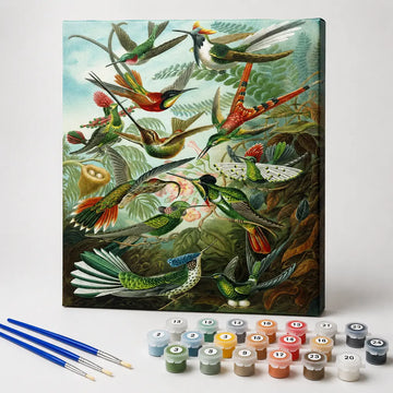 Hummingbirds, Trochilidae, Ernst Haeckel